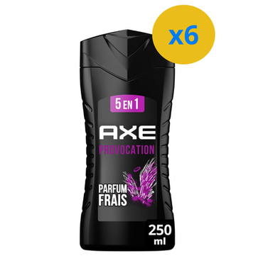 AXE GEL DOUCHE 5 EN 1 - EXCITE PROVOCATION 250ML